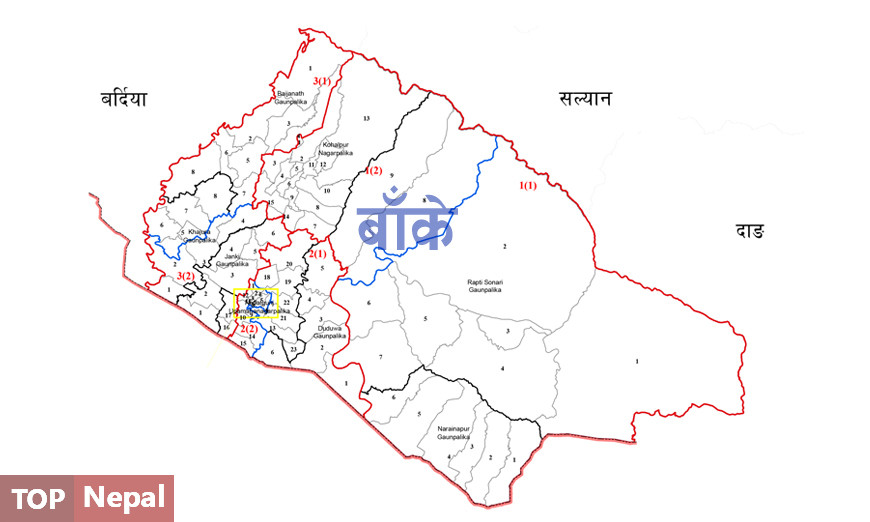 ६४ वर्ष पछि फेला पर्यो अनौठो चरा, आधा मानिस, आधा पंक्षी !