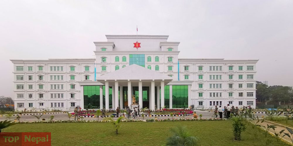 ६४ वर्ष पछि फेला पर्यो अनौठो चरा, आधा मानिस, आधा पंक्षी !