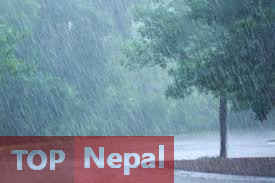 ६४ वर्ष पछि फेला पर्यो अनौठो चरा, आधा मानिस, आधा पंक्षी !