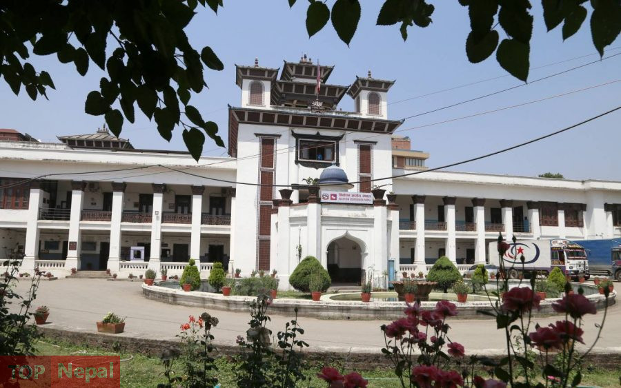 ६४ वर्ष पछि फेला पर्यो अनौठो चरा, आधा मानिस, आधा पंक्षी !