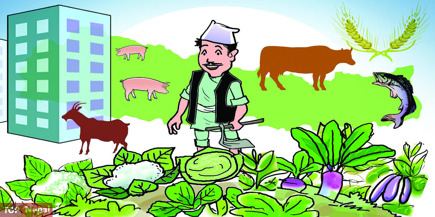 ६४ वर्ष पछि फेला पर्यो अनौठो चरा, आधा मानिस, आधा पंक्षी !