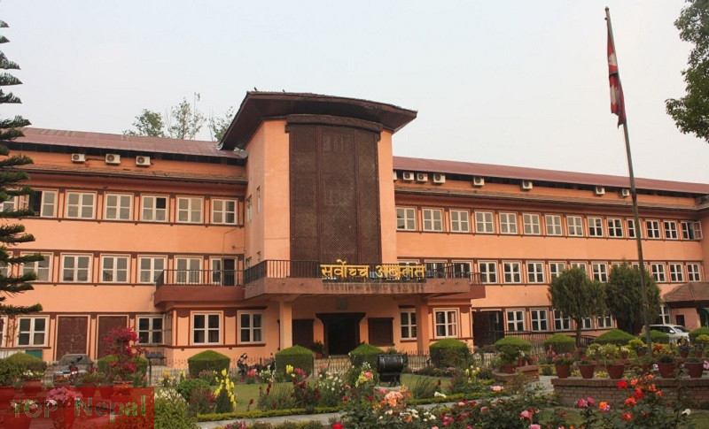 ६४ वर्ष पछि फेला पर्यो अनौठो चरा, आधा मानिस, आधा पंक्षी !