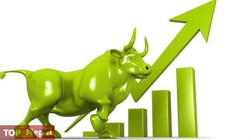 शेयर बजार १२ अङ्कले बढेर २६ सय विन्दुमाथि उक्लियो