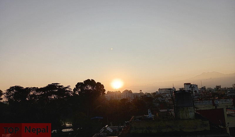 ६४ वर्ष पछि फेला पर्यो अनौठो चरा, आधा मानिस, आधा पंक्षी !