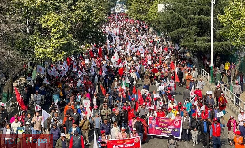 ६४ वर्ष पछि फेला पर्यो अनौठो चरा, आधा मानिस, आधा पंक्षी !