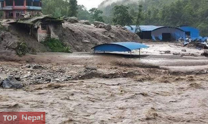 ६४ वर्ष पछि फेला पर्यो अनौठो चरा, आधा मानिस, आधा पंक्षी !
