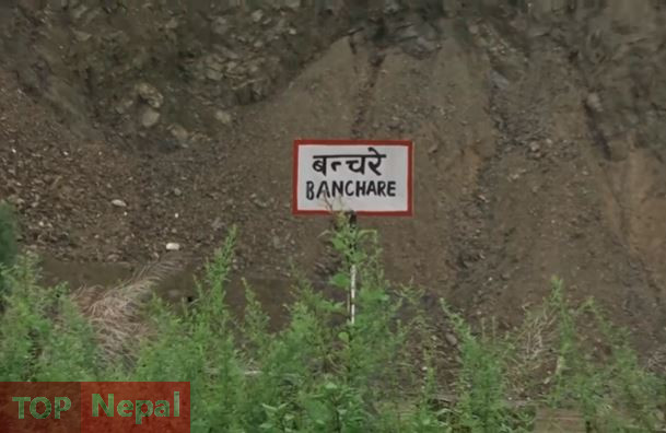 ६४ वर्ष पछि फेला पर्यो अनौठो चरा, आधा मानिस, आधा पंक्षी !