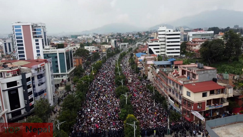 ६४ वर्ष पछि फेला पर्यो अनौठो चरा, आधा मानिस, आधा पंक्षी !