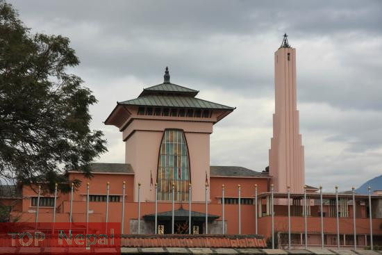 ६४ वर्ष पछि फेला पर्यो अनौठो चरा, आधा मानिस, आधा पंक्षी !