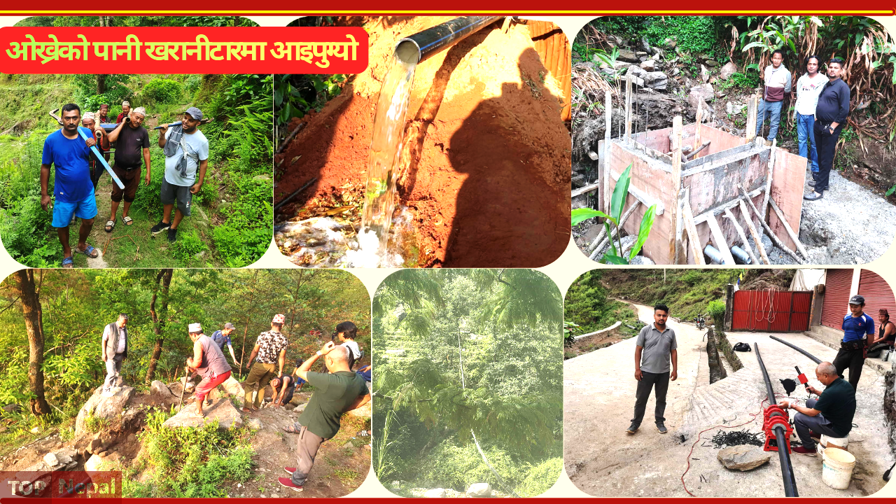 ६४ वर्ष पछि फेला पर्यो अनौठो चरा, आधा मानिस, आधा पंक्षी !