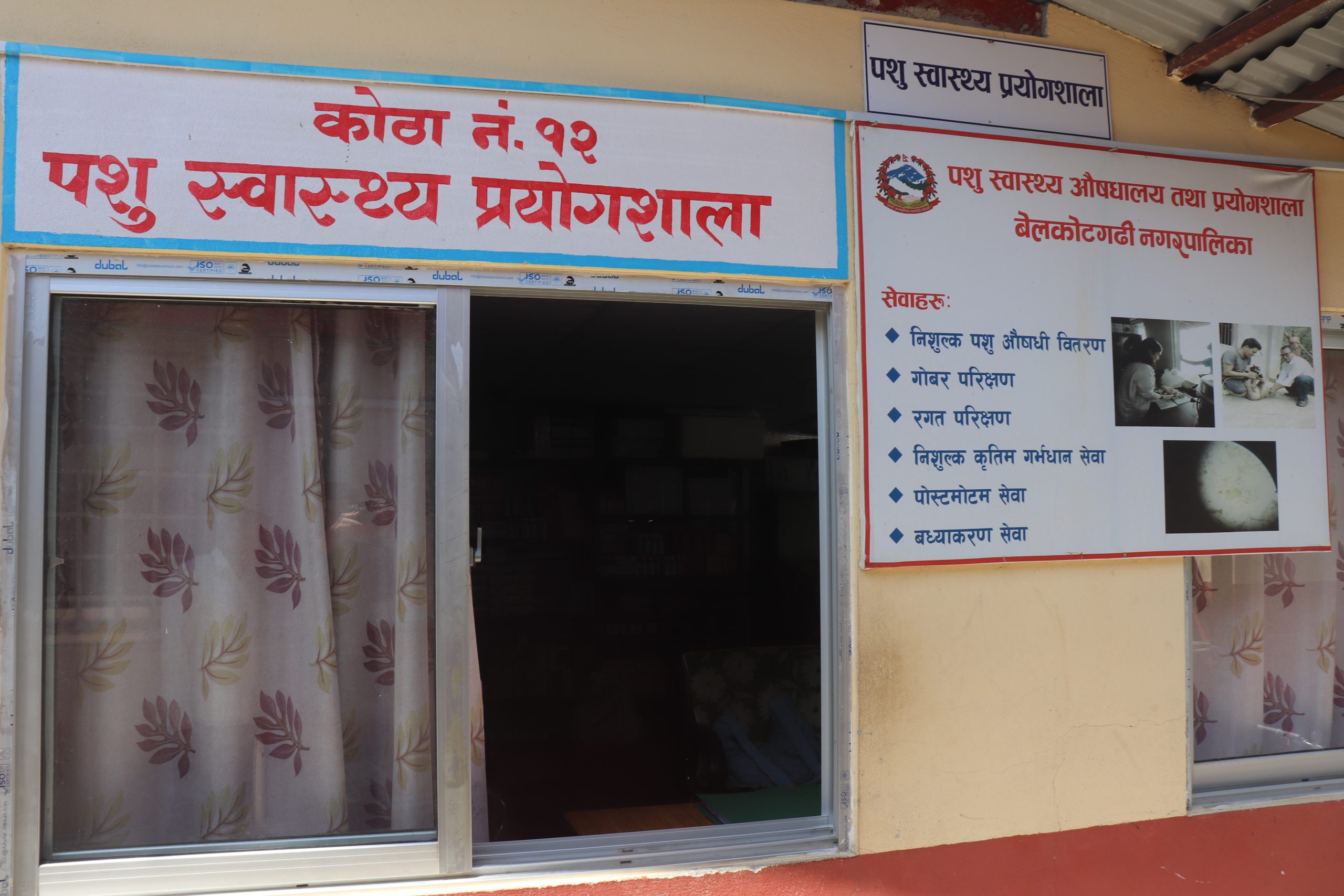 ६४ वर्ष पछि फेला पर्यो अनौठो चरा, आधा मानिस, आधा पंक्षी !