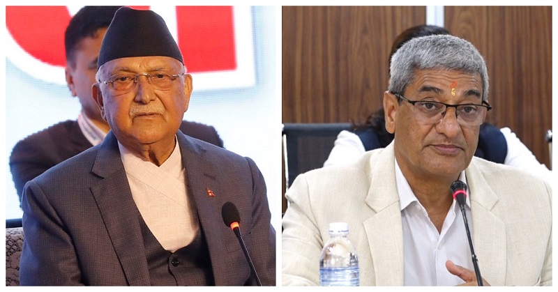 ६४ वर्ष पछि फेला पर्यो अनौठो चरा, आधा मानिस, आधा पंक्षी !