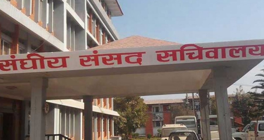 ६४ वर्ष पछि फेला पर्यो अनौठो चरा, आधा मानिस, आधा पंक्षी !