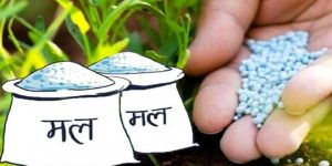 Smooth supply of chemical fertilizers assured in Lahan