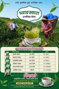 घ्याङस्वारा अर्गानिक चियाको मूल्य प्रतिकेजी ६ हजार निर्धारण
