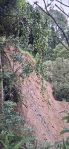 भारी वर्षापछि तादीमा ठूलो पहिरो, करिब २० घरपरिवार जोखिममा