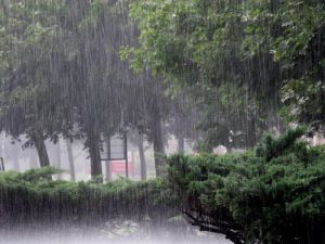 तीन दिनसम्म देशका केही ठाउँमा ठूलो वर्षाको सम्भावना